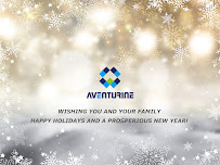 Aventurine Information Technology LLC