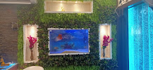 Dream Designs Interiors