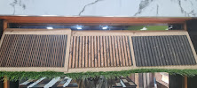 Design & Creation Architects