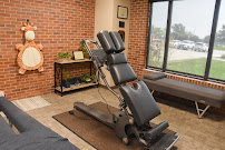 Bloom Chiropractic Co.