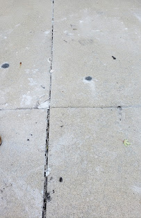 The Driveway Company