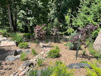 Sustainable Landscape Solutions