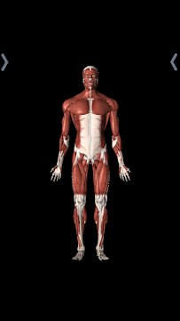 Iowa City Massage and Bodywork