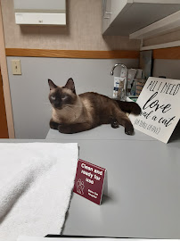 Animal Care Clinic West & Metro Cat Hospital