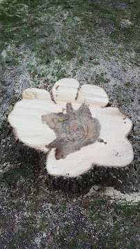 Service Roofing Company