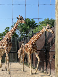 Blank Park Zoo