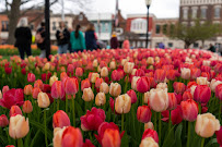 Downtown Pella District