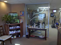 Performance Chiropractic