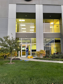 ASAP Window & Gutter Cleaning