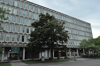 Silver Immigration - US Immigration Lawyer Montreal