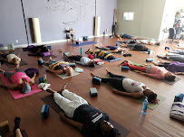 The Tree Yoga Cooperative