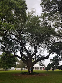 Stella Events & Adventures