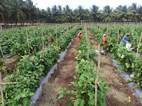 A.p.k.s Organic India Private Limited