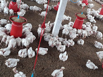 Mayura Pipes And Poultry Equipments