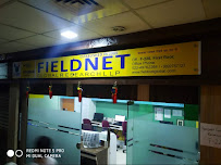 Fieldnet Global Research- Best Market Research Company in India