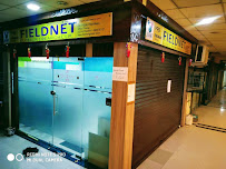 Fieldnet Global Research- Best Market Research Company in India