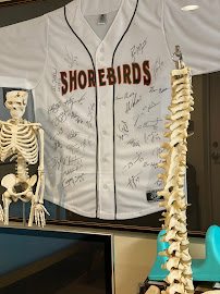 Spine & Sport Annapolis