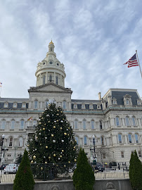 Expedited Courier Group