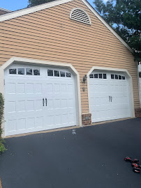 Leo Garage Doors