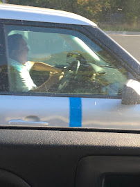 Lines Insurance & Financial Services