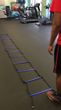 Harbor Physical Therapy