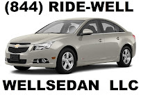 WELLSEDAN LLC