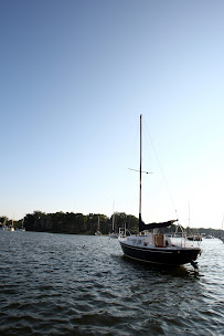 Annapolis Water Taxi by Watermark