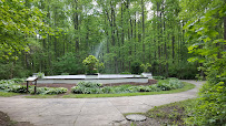Patapsco Valley State Park - Hollofield Area