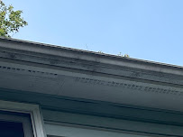 Guardian Exterior Cleaning