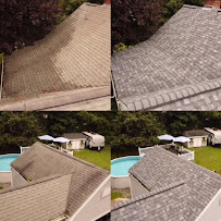 Red Dog's Roofing LLC