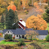 Tip Top Roofing