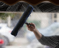Meticulous Window Cleaning & Pressure Washing
