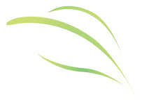 Pain Solution Clinic (Registered Massage Therapy)