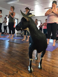 WAKE Wellness