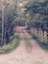 Marion Schuller RMT, Pain Treatment & Management, Sports Injury & Rehabilitation