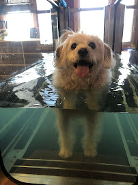 Touch Animal Rehabilitation