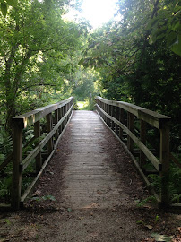Soul Path | Counselling & Psychotherapy & Holistic Services