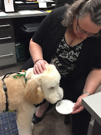 Back to Health Wellness Centre