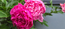 Peony Blossom The Good Witch Studio