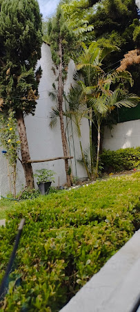 Elite Alfa Inmobiliaria