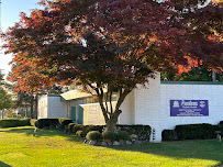 Connect Chiropractic and Wellness