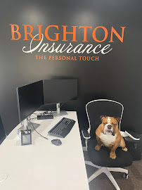 Brighton Insurance and Financial Services