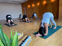Detroit Yoga Lab