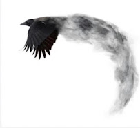 Flying Crow Yoga Studio