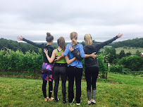 Yoga in the Vines Traverse City