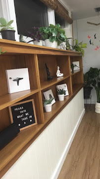 Sangha Yoga Studio