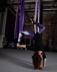 Fly Freak Studio