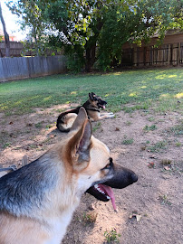 Dental Care of Madison