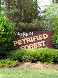 Mississippi Petrified Forest