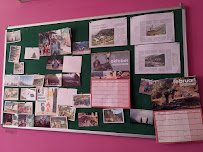 Volunteer Corps Nepal